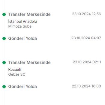 Kayıp Kargo Ve Çelişkili Müşteri Temsilcileriyle Yaşanan Teslimat Kabusu