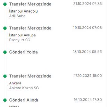 Kayıp Kargo Ve Çelişkili Müşteri Temsilcileriyle Yaşanan Teslimat Kabusu