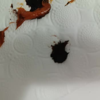 Saç Boyası Renk Sorunu Ve Yan Etkileri