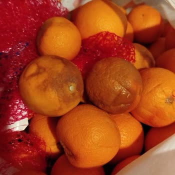 Migros Sanal Market'ten Çürük Ürün Teslimatı Ve İade Sorunu