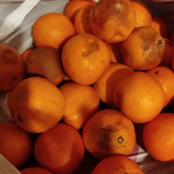 Migros Sanal Market'ten Çürük Ürün Teslimatı Ve İade Sorunu