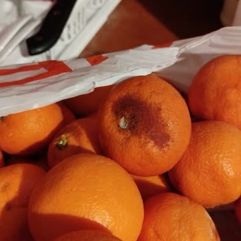 Migros Sanal Market'ten Çürük Ürün Teslimatı Ve İade Sorunu