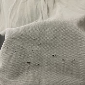 Lufian Tişörtteki Delikler Ve İletişim Sorunları!