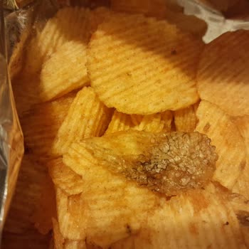 Cips Paketinden Çıkan Şaşırtıcı Yabancı Madde