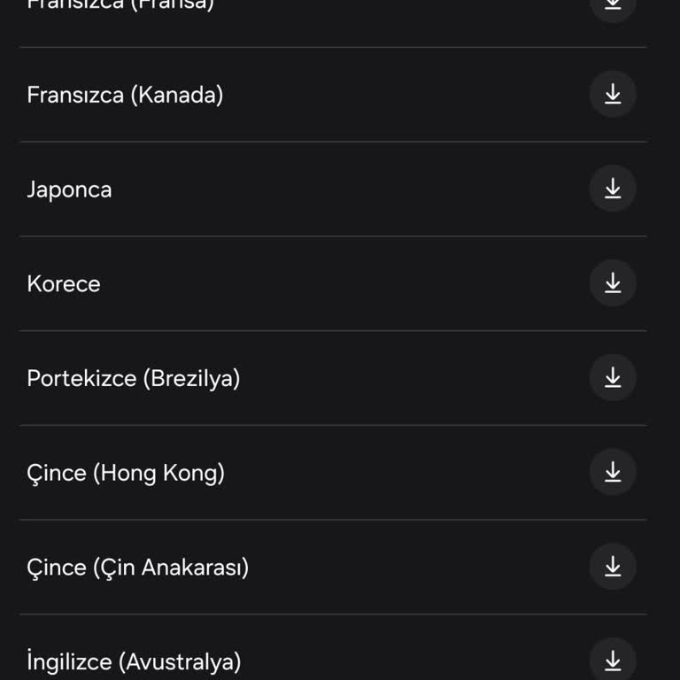 Samsung S23 Ultra'da Türkçe Dil Desteği Sorunu