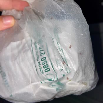 Arifoğlu İyi Uykular Çayı Böcek Sorunu