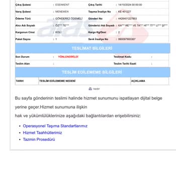 Kargo Teslimatında Sürekli Sorunlar