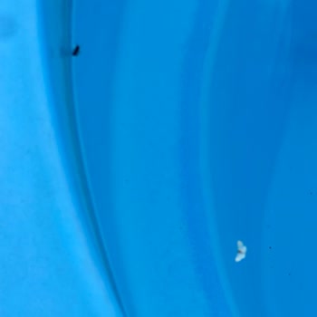 Quick Tatil Panda Bungalov Pişmanlığı