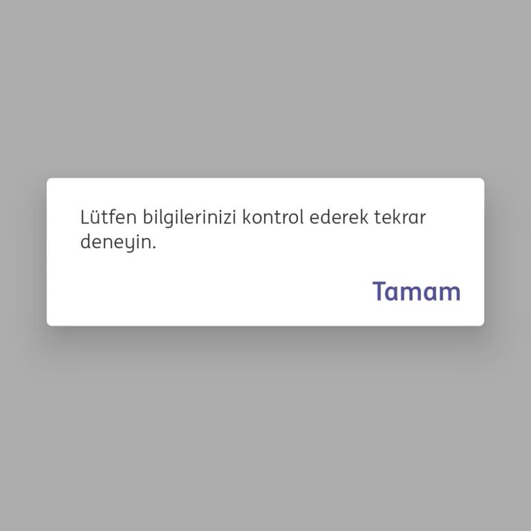 ING Bank İnternet Şubesi Ve Çağrı Merkezi Sorunları