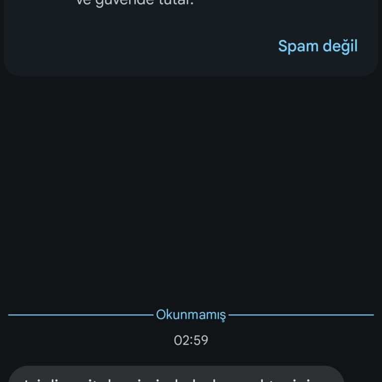 Labirentbil Tarafından Gelen Asılsız Mesaj