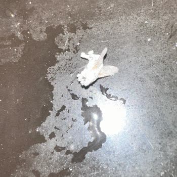 Güvendiğim Üründe Şok Edici Olay