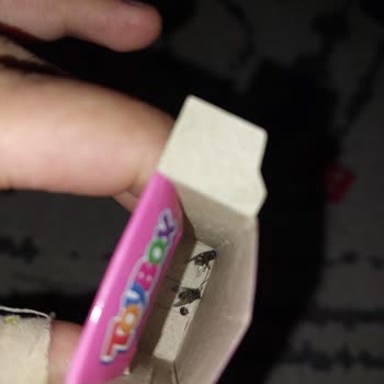 Toybox Paketinden Çıkan Ölü Sinekler Şok Etti