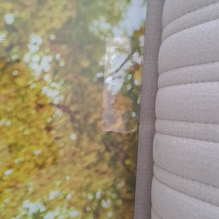 Düğün Fotoğraflarında Hayal Kırıklığı Ve Sorunlu Teslimatlar