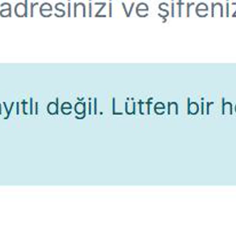 VFS Global Randevu Sistemi Erişim Sorunu