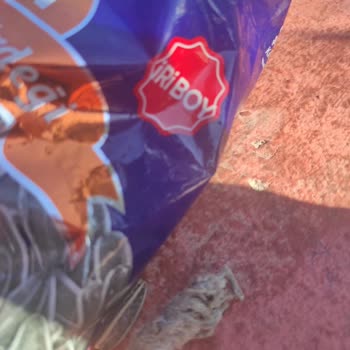 Ayçekirdeği Paketinde Fare Ölüsü Şoku