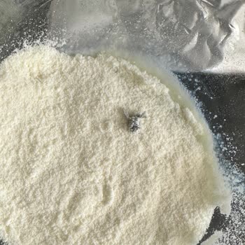 Nutricia lactamil Ürününde Hijyen Skandalı: Sinek Çıktı!