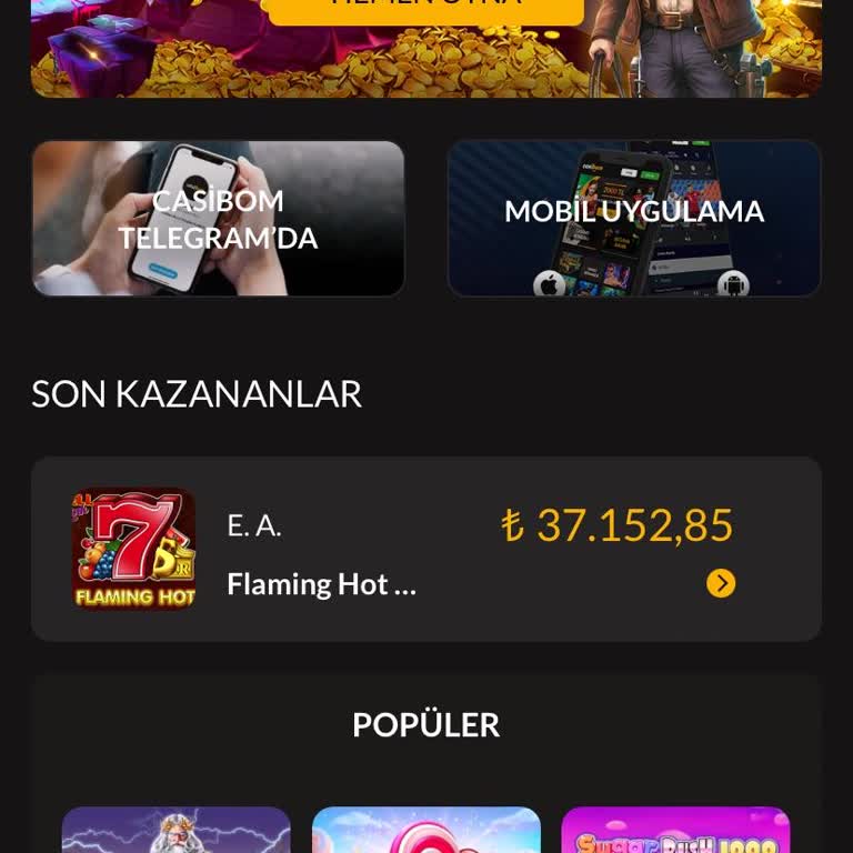 Casibom Para İadesi Ve Yatırım Sorunları