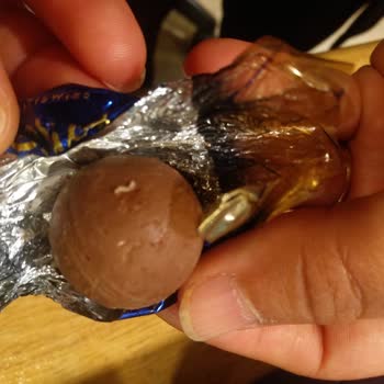 Patiswiss Ürünlerinde Böcek Ve Kurt Sorunu