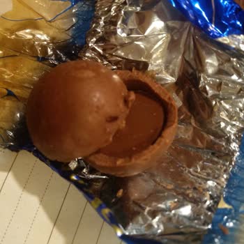 Patiswiss Ürünlerinde Böcek Ve Kurt Sorunu