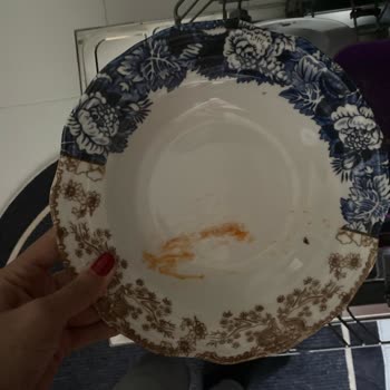 Fairy Dishwasher Tablets Leave Dishes Dirty – False Advertising on Cleaning Power