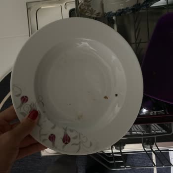 Fairy Dishwasher Tablets Leave Dishes Dirty – False Advertising on Cleaning Power