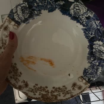 Fairy Dishwasher Tablets Leave Dishes Dirty – False Advertising on Cleaning Power