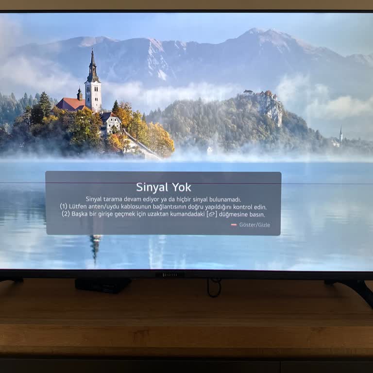 Müşteri Hizmetleri Sorunu Ve Çözüm Eksikliği