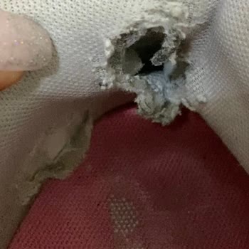 Adidas Ayakkabıda Delik Ve İlgisizlik Sorunu