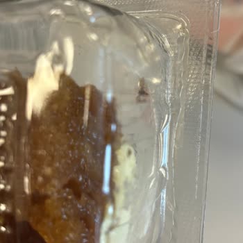 Köfteci Yusuf'ta Hijyen Sorunu: Ekmek Kadayıfında Ölü Sinek Şoku