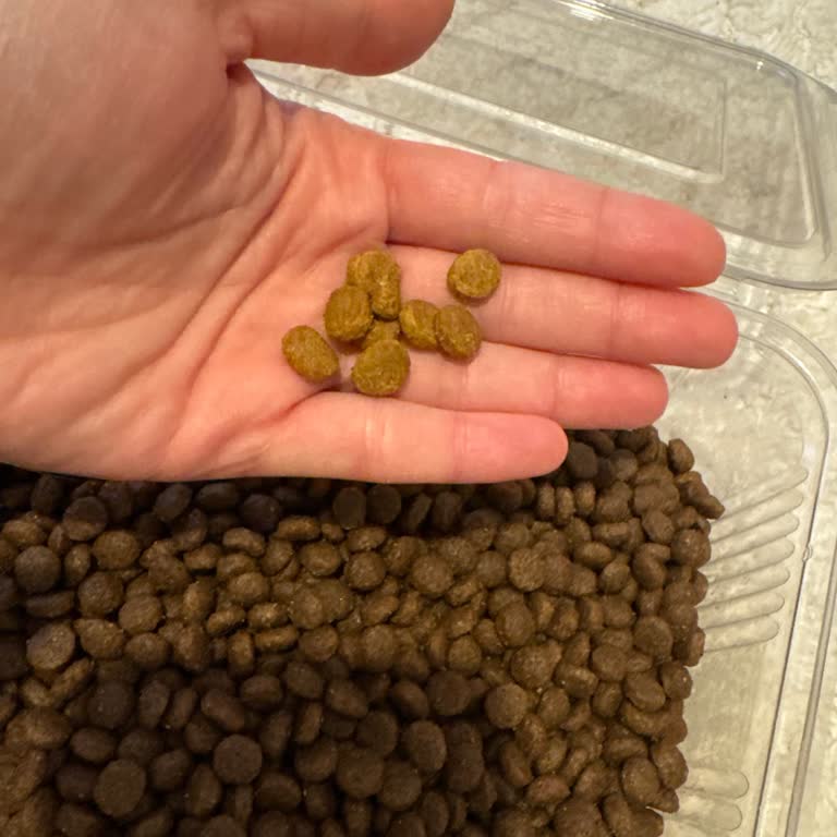 Pati-Mati Petshop Farklı Gönderilen Ürün