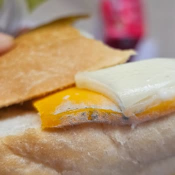 BİM 'den Alınan Sandviçte Küf Şoku