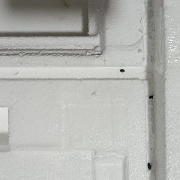 Asil Ev Aletleri Ve N11 Şikayeti