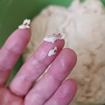 Seç Market'te Tarihi Geçmiş Ve Böcekli Ürün Sorunu
