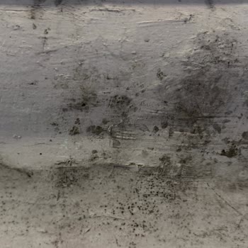 Moldy Room and Refusal of Refund at Milan Hotel Booked via Booking.com