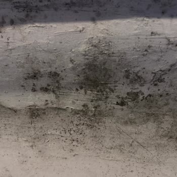 Moldy Room and Refusal of Refund at Milan Hotel Booked via Booking.com