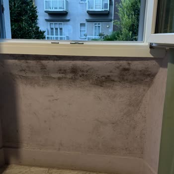 Moldy Room and Refusal of Refund at Milan Hotel Booked via Booking.com