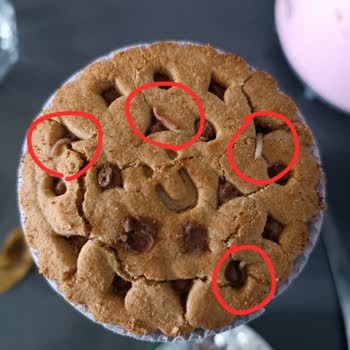 Kurtçuklarla Dolu Probis Skandalı