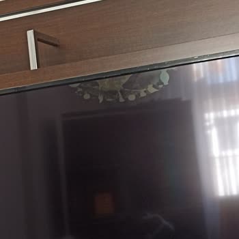 Kırık Televizyon İçin İade Sorunu Ve Müşteri Hizmetleri Karmaşası