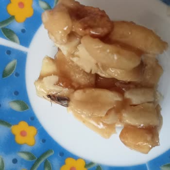 Bozuk Krokan Ve İstenmeyen Misafirler