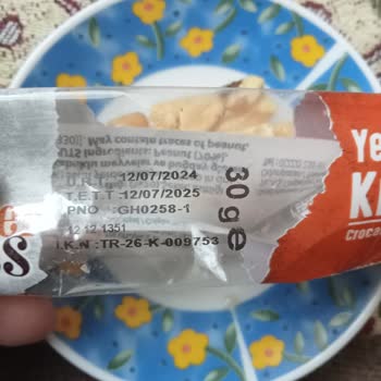 Bozuk Krokan Ve İstenmeyen Misafirler