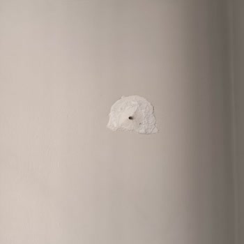 Montaj Hizmetinde Yaşanan Sorun Ve İletişim Eksikliği