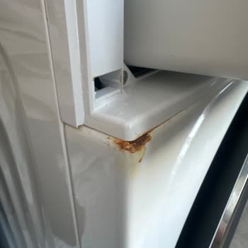 Beko Çamaşır Makinesi: Sorunlar Yumağı