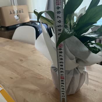 Çiçek Sepeti'nde Yanlış Ürün Teslimatı Ve Hayal Kırıklığı