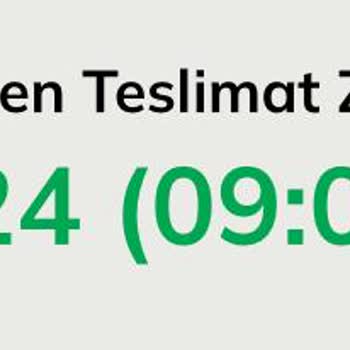 UPS Türkiye'nin Geç Teslimatı Tatilimi Mahvetti