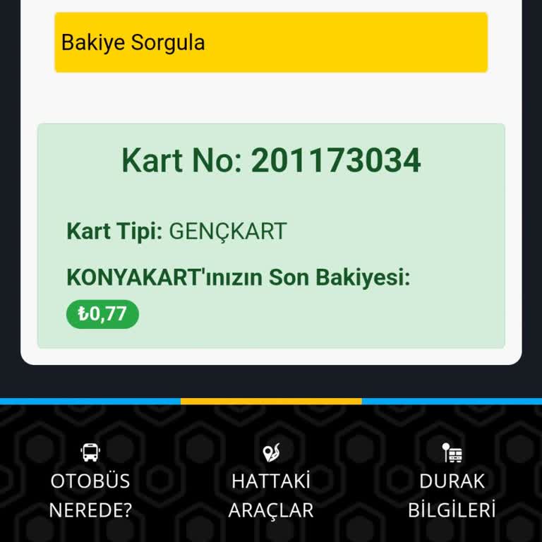 Yükleme Yapıldı, Bakiye Görünmüyor!