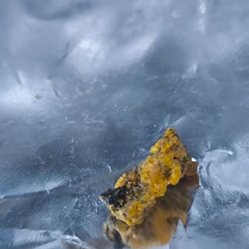 Cips Paketinde Şok Edici Yabancı Madde!