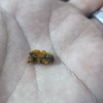 Cips Paketinde Şok Edici Yabancı Madde!