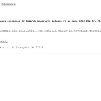İzinsiz McAfee Ödemesi Ve Yanlış Fatura Sorunu