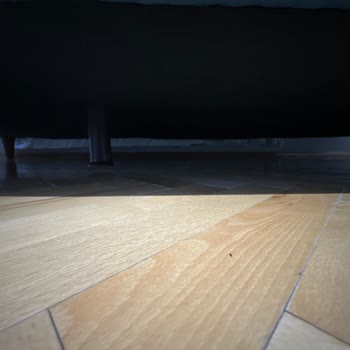 Başkentte Servis Eksikliği: Koltuk Sorunu Çözülmüyor