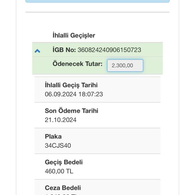 HGS Bakiyesi Yetersizliği Nedeniyle Aşırı Ceza